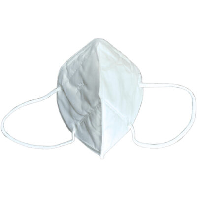 KN95 Masks (10 Pack)